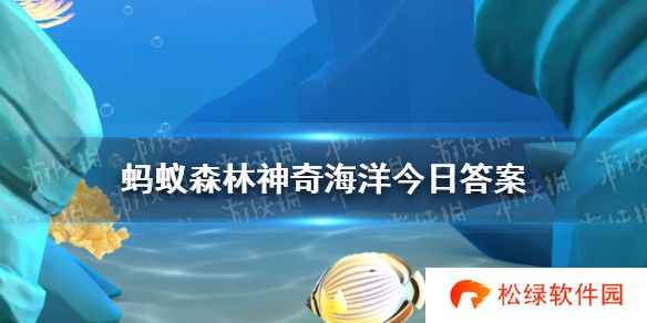 猜一猜以下哪种海洋动物是海葵的天敌  神奇海洋12月15日答案